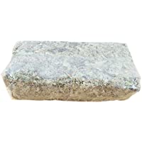 Dough.Q 12L Sphagnum Moss Nutrición Hidratante Orgánico Fertilizante para orquídeas